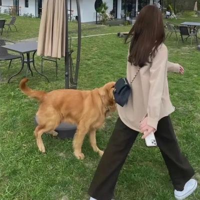 英俊又可爱
